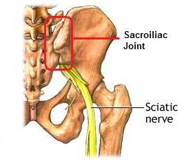The Importance of SI Joint Function