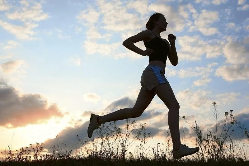 Workshop: Easy Anatomy of the Hip and Thigh